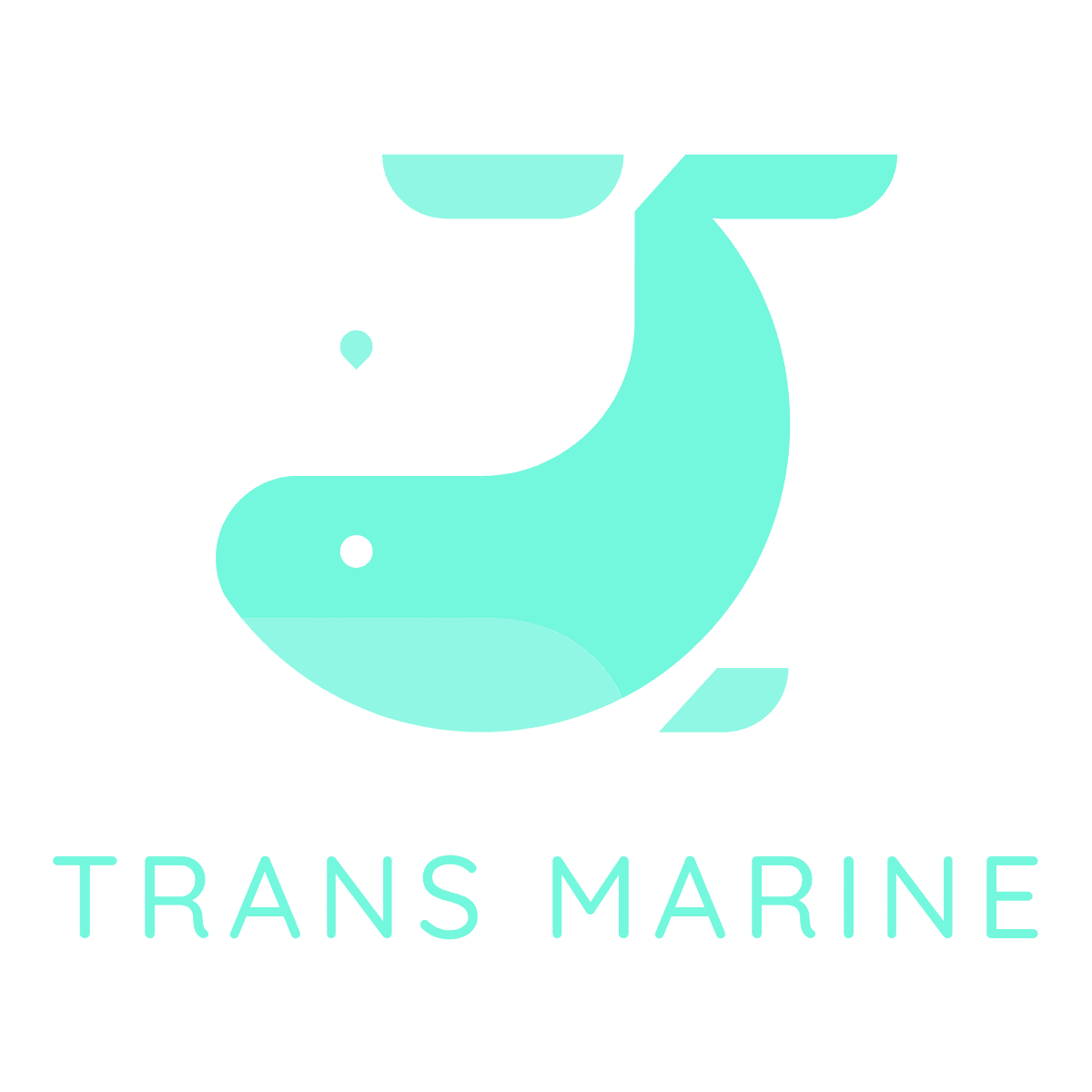 logo_transparent